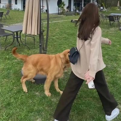 美国梦的安魂曲