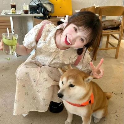 柴堆猫班卓